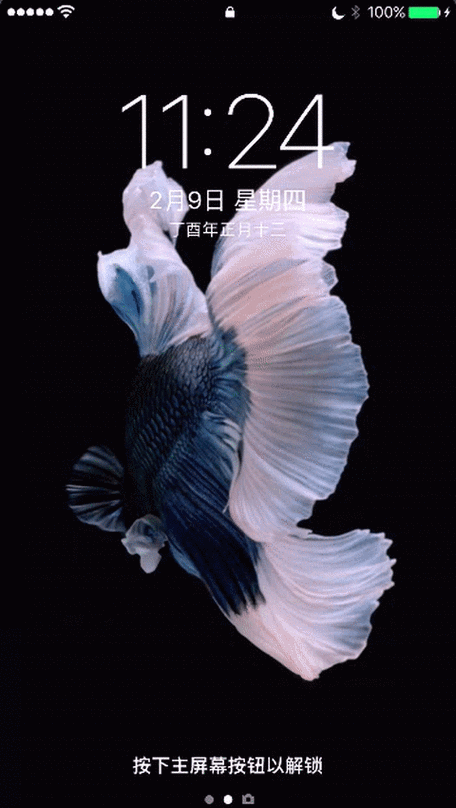 苹果手机怎么设置动态壁纸_动态壁纸设置步骤