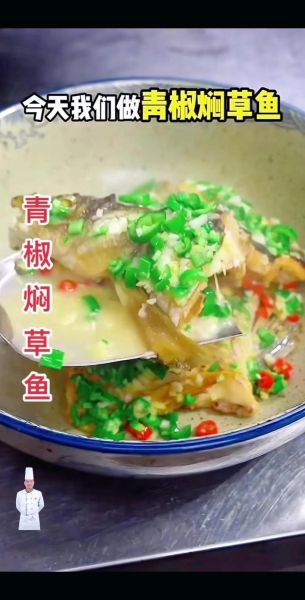 草鱼怎么做好吃_草鱼的家常做法大全