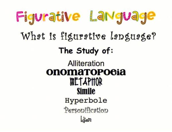 how_to_describe_environment_in_english