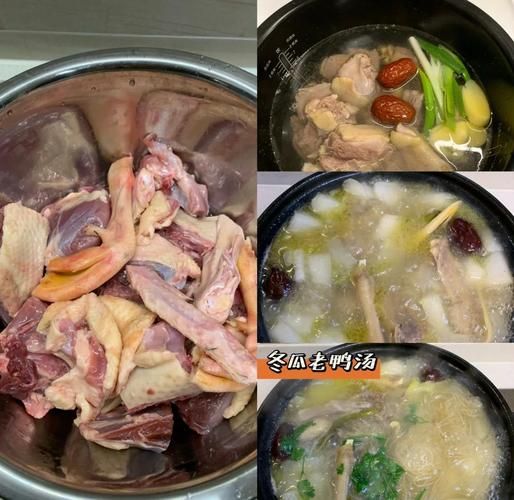 鸭子炖汤的做法大全_鸭子汤怎么炖好喝