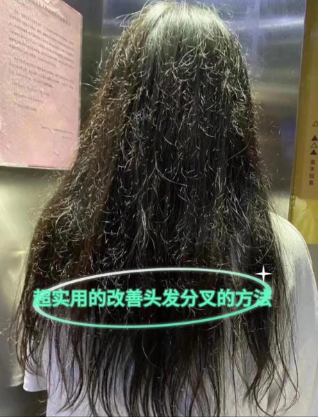 头发干枯毛躁怎么办_头发分叉怎么修复