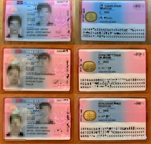 法国买房移民条件_法国买房移民流程