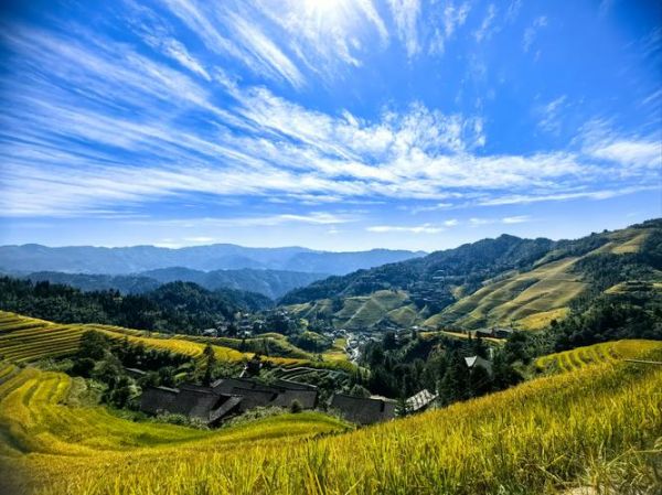 稻田是什么意思_稻田和梯田的区别