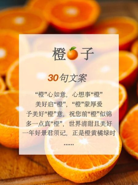橙子组词语有哪些_拍照写作怎么写