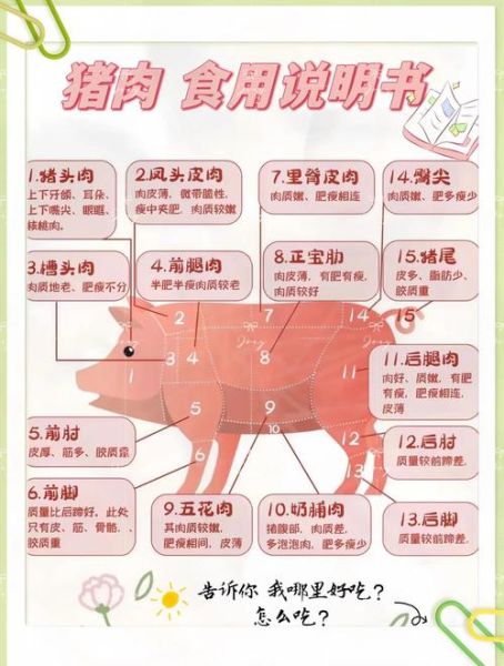 买猪肉怎么挑选新鲜_买猪肉哪个部位最好吃