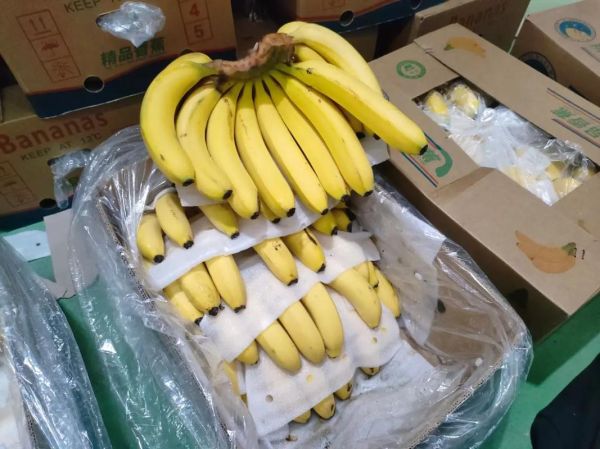 黄香蕉和普通香蕉区别_黄香蕉营养价值高吗