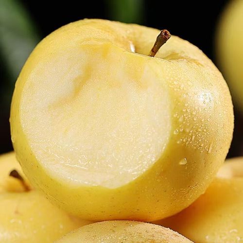 黄香蕉和普通香蕉区别_黄香蕉营养价值高吗