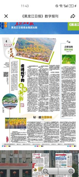 秋林是什么意思_秋林一词的历史由来