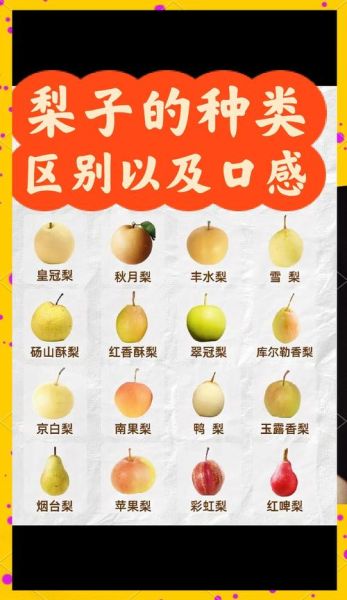 梨子怎么挑选_梨子品种有哪些