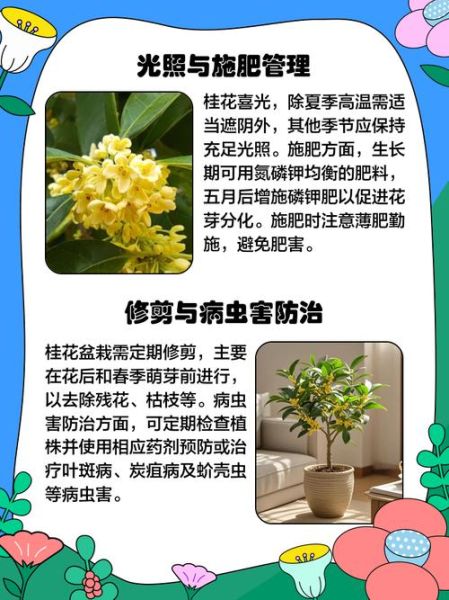 桂树怎么种植_桂树适合什么土壤