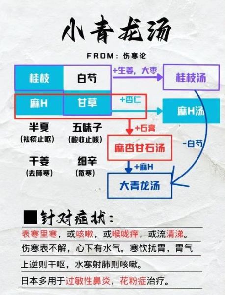 小青龙汤怎么做_小青龙汤适用症状