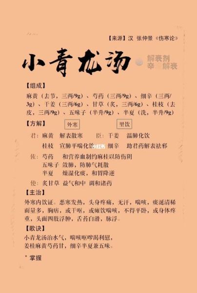 小青龙汤怎么做_小青龙汤适用症状