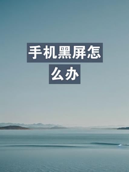 手机黑屏怎么强制重启_手机黑屏开不了机怎么办