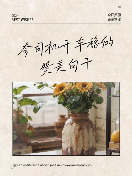 如何夸司机_赞美司机的词语有哪些