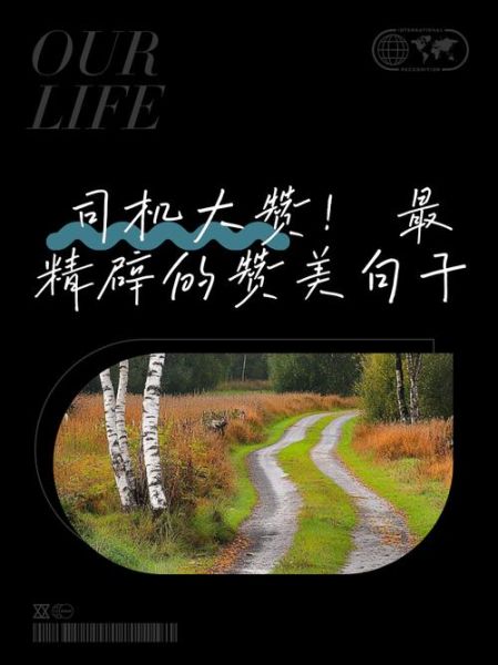 如何夸司机_赞美司机的词语有哪些