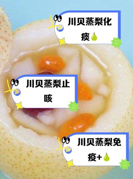 川贝蒸梨怎么做_川贝蒸梨的功效与禁忌