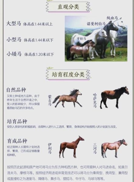 贡马是什么_贡马词语解释