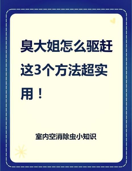 家里有虫子怎么办_如何彻底消灭虫子