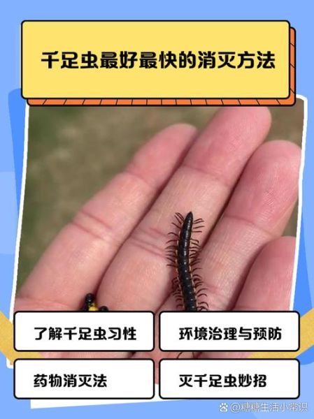 虫子有哪些种类_虫子怎么消灭