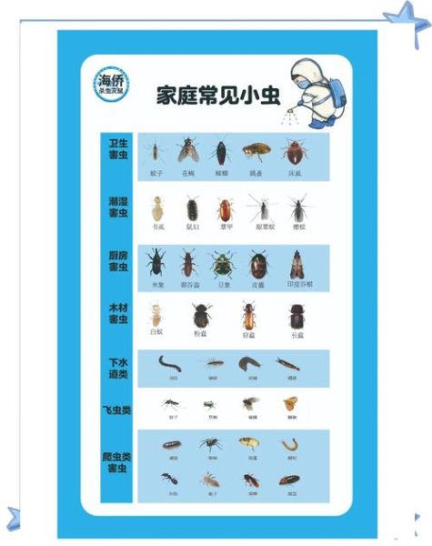 虫子有哪些种类_虫子怎么消灭
