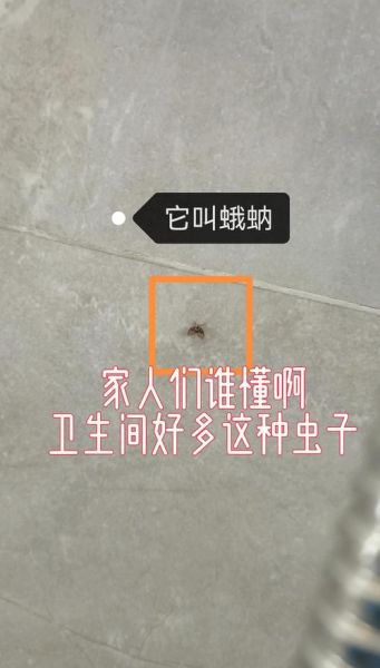 虫子有哪些种类_虫子怎么消灭