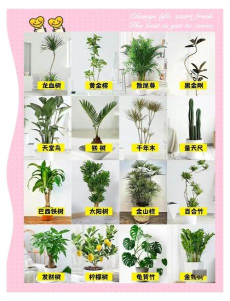 绿地有哪些植物_绿地植物怎么养护