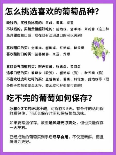 葡萄有哪些品种_如何挑选新鲜葡萄