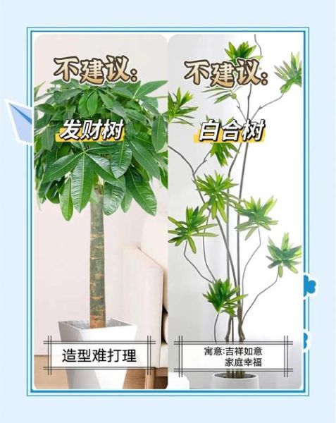 绿地有哪些植物_绿地植物怎么养护