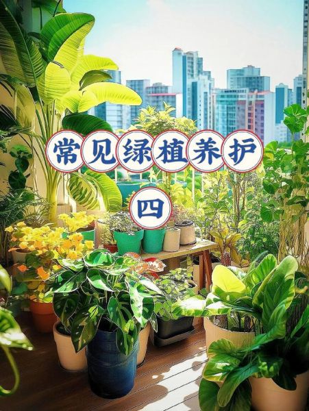 绿地有哪些植物_绿地植物怎么养护