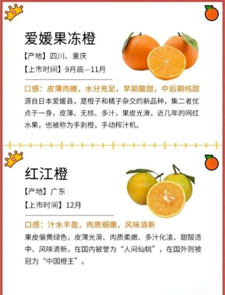 橙子为什么好吃_橙子好评词语有哪些