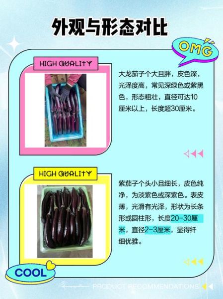 茄子有哪些相似蔬菜_怎么区分茄子与同类蔬菜