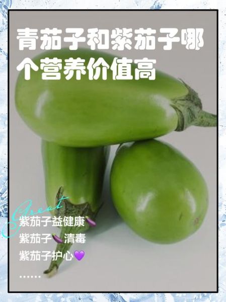 茄子有哪些相似蔬菜_怎么区分茄子与同类蔬菜