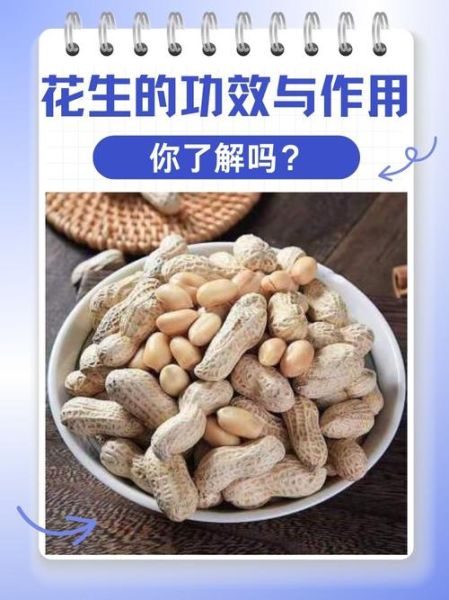 花生有哪些好处_每天吃多少花生最健康