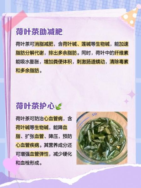 荷叶的功效与作用_荷叶怎么泡水喝