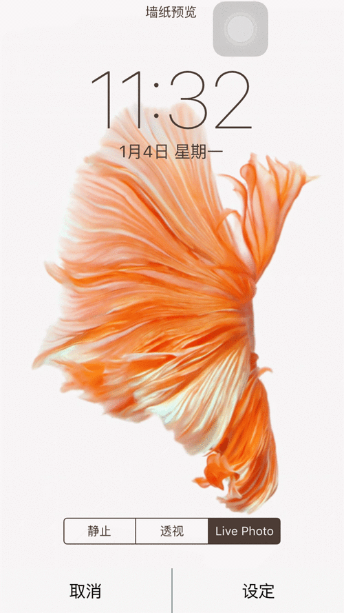 苹果手机怎么设置动态壁纸_动态壁纸设置教程