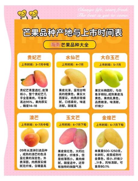 芒果怎么挑选甜的_芒果品种有哪些