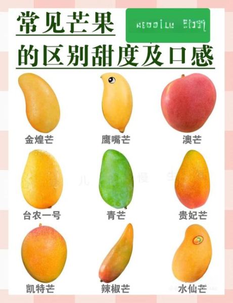 芒果怎么挑选甜的_芒果品种有哪些