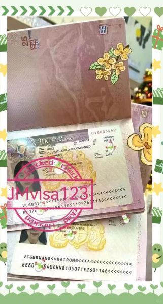 英国移民最新政策2024_如何申请英国工作签证