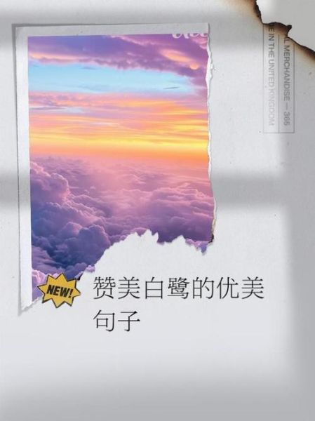 翅膀怎么形容_描绘翅膀的词语有哪些