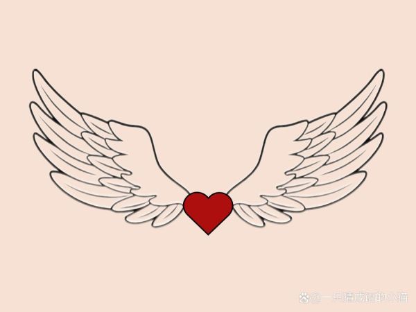 翅膀怎么形容_描绘翅膀的词语有哪些