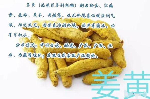 姜黄和姜黄素区别_姜黄粉怎么吃效果最好