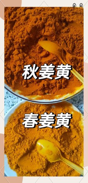 姜黄和姜黄素区别_姜黄粉怎么吃效果最好