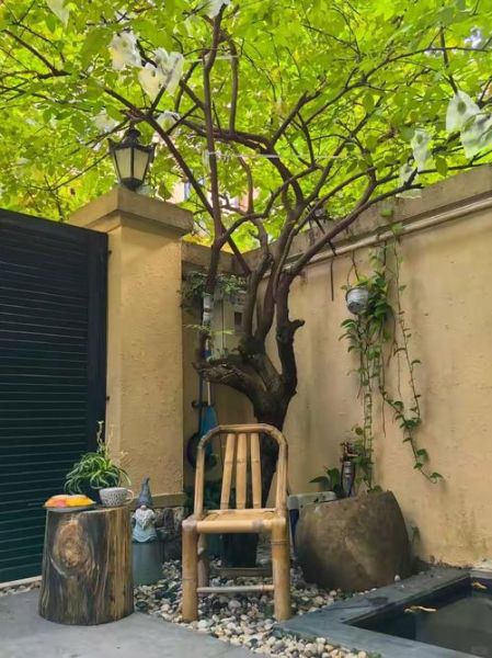 树木不多的院子怎么设计_树木不多的院子如何绿化