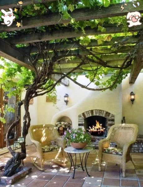 树木不多的院子怎么设计_树木不多的院子如何绿化