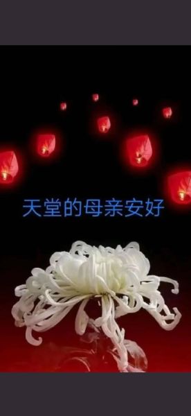 缅怀母亲用什么词语_如何表达思念