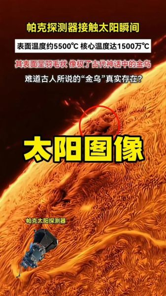 太阳为什么叫金乌_太阳别称有哪些
