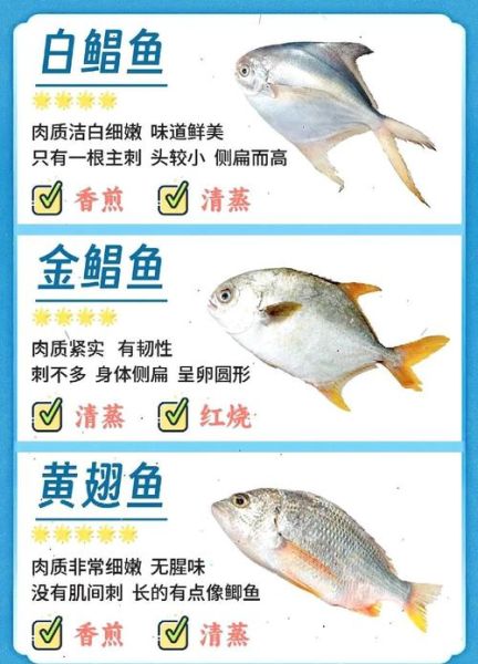 渔夫的渔词语有哪些_如何区分渔具名称