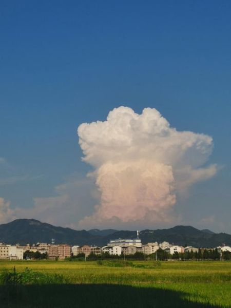 蘑菇云手机是什么_蘑菇云手机怎么用