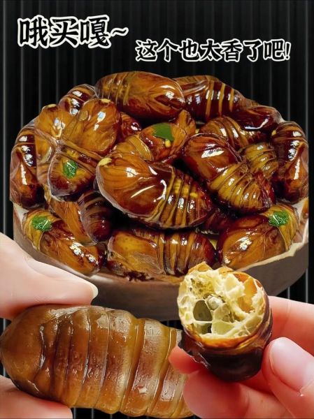 茧蛹怎么做好吃_茧蛹的做法大全