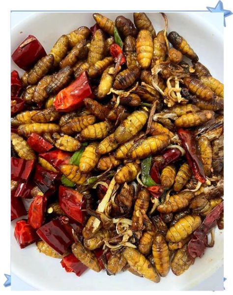 茧蛹怎么做好吃_茧蛹的做法大全